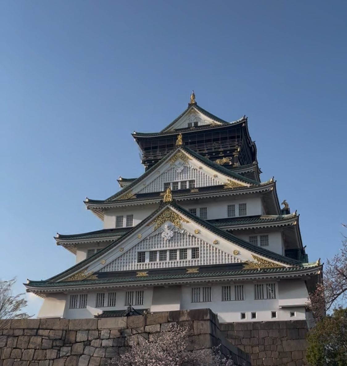 Localisation culturelle japonaise et support marché japonais — Mayu Sensei