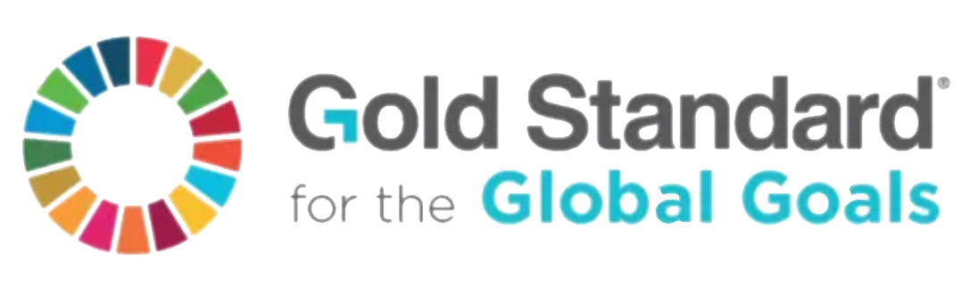 Gold Standard for the Global Goals