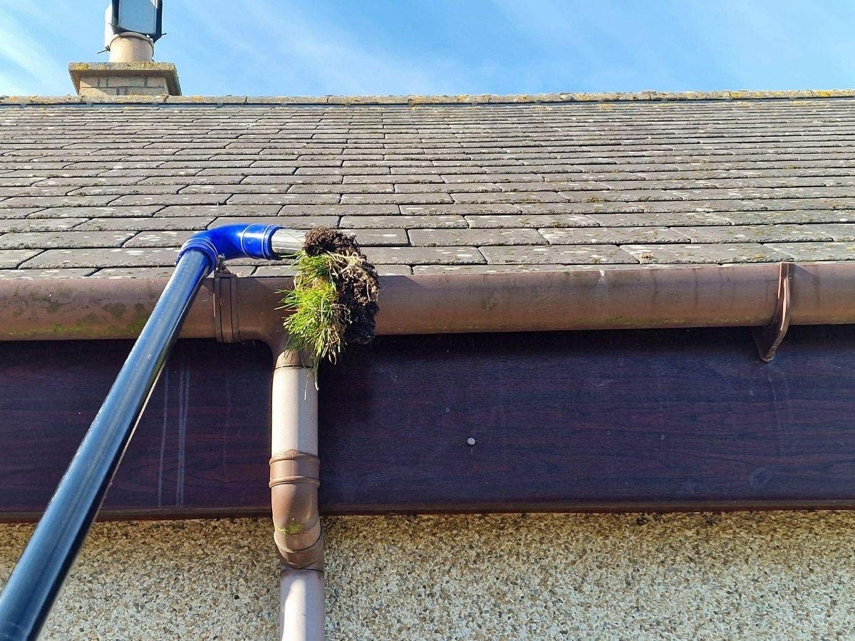Gutter Cleaning