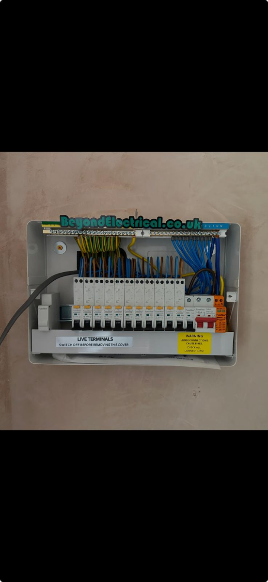 Domestic Electrician