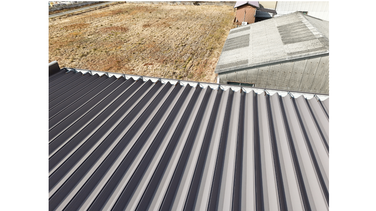 広角レンズ(通常撮影)