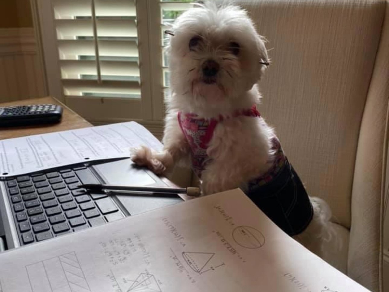 Receive your surprise box