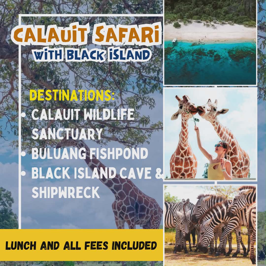 Calauit Safari with Black Island