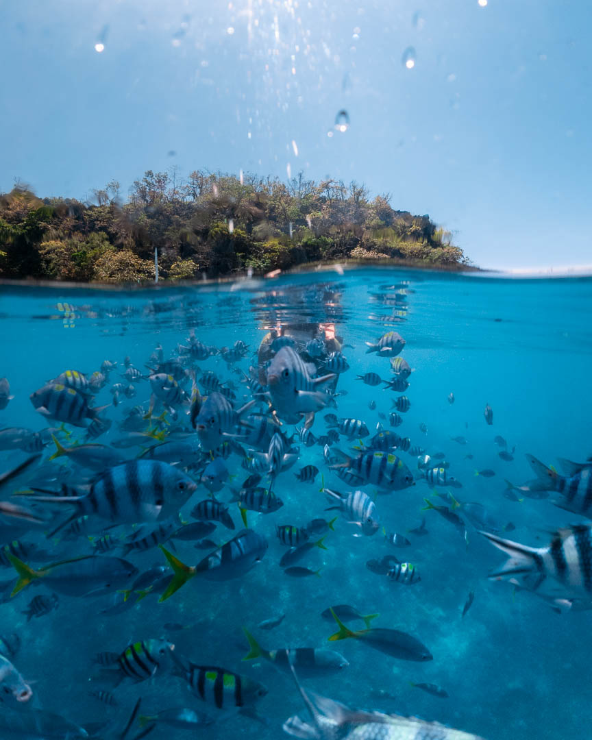 Split underwater view of snorkeling in Coron Palawan Philippines with school of tropical fish and island above water