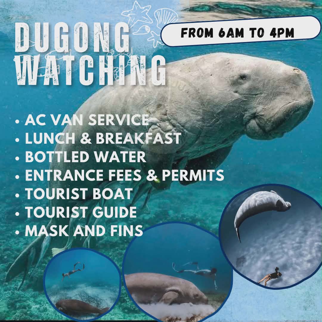 Dugong Watching