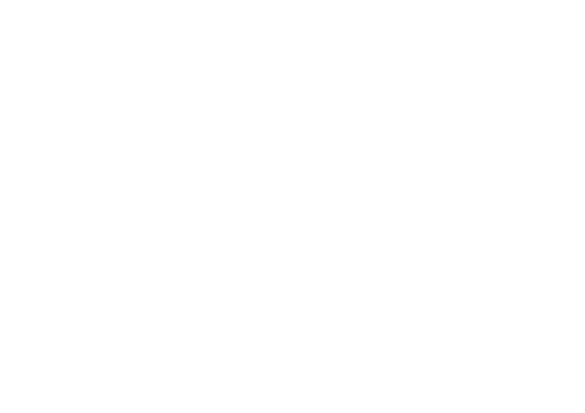 Blue Koala Coffee Co.