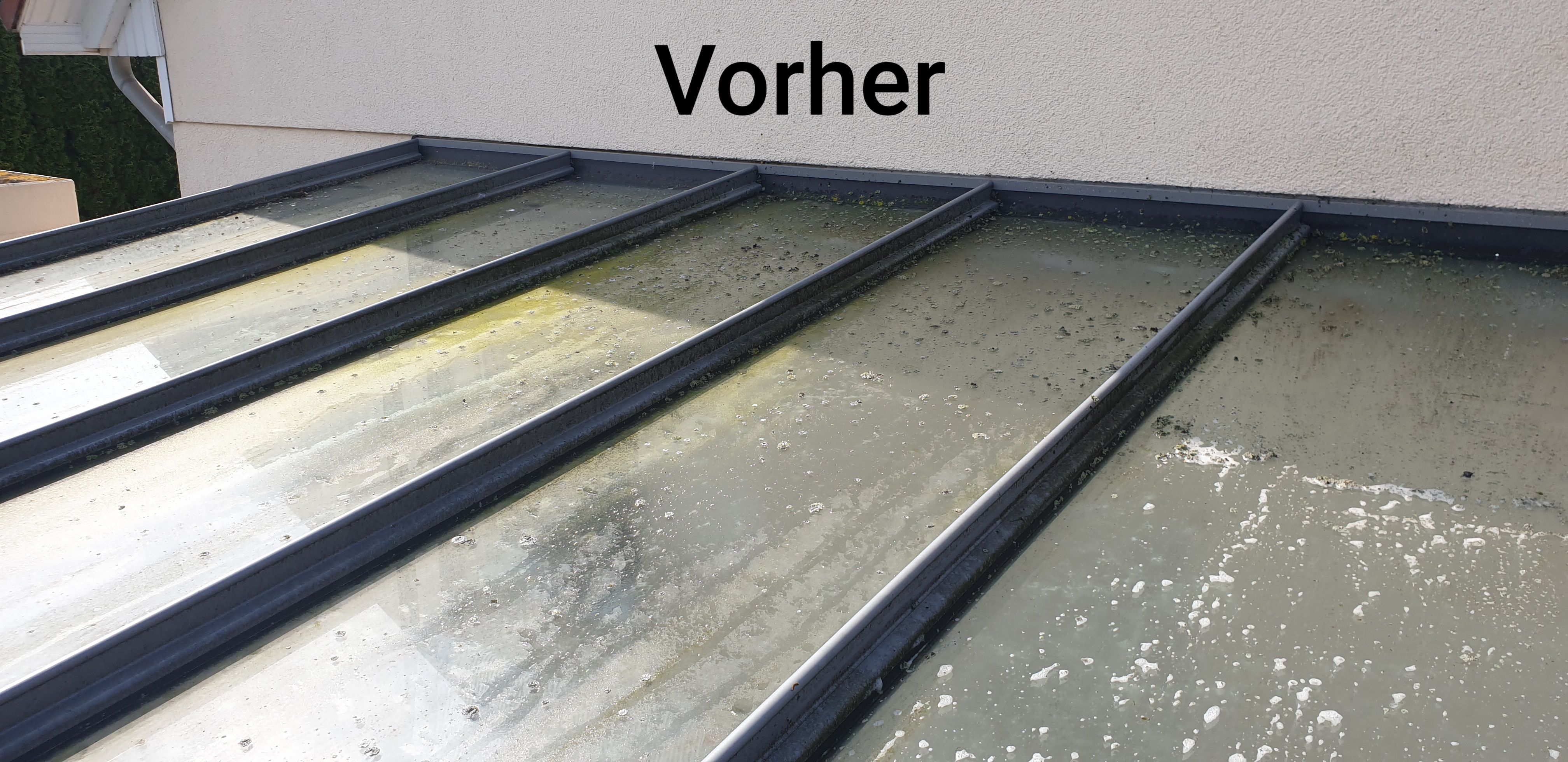 Glasreinigung - Bild 1