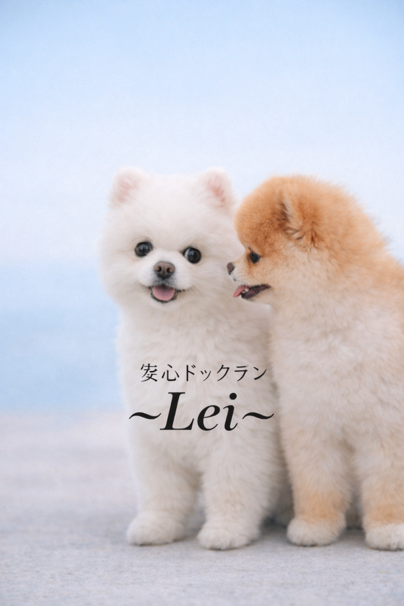 Always happy with your dog!