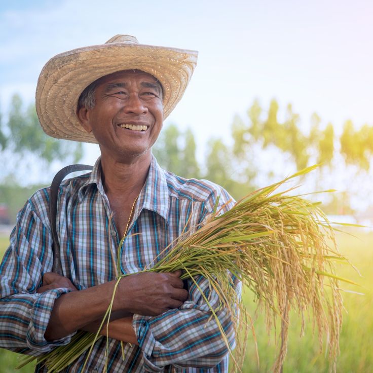農業・農園事業