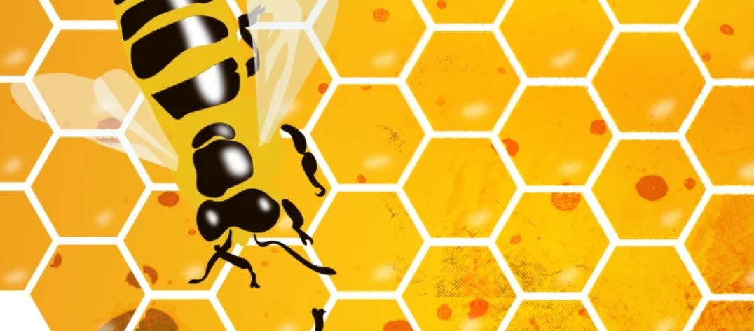 Bitter Taste - Fake Honey