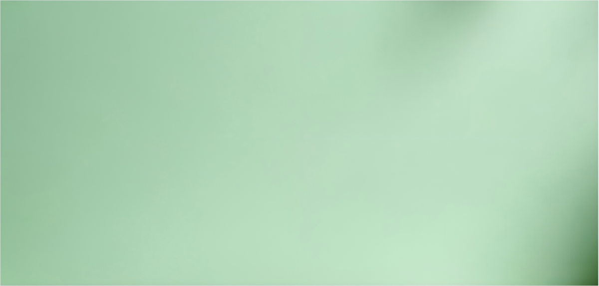 Prestige Motors Showroom