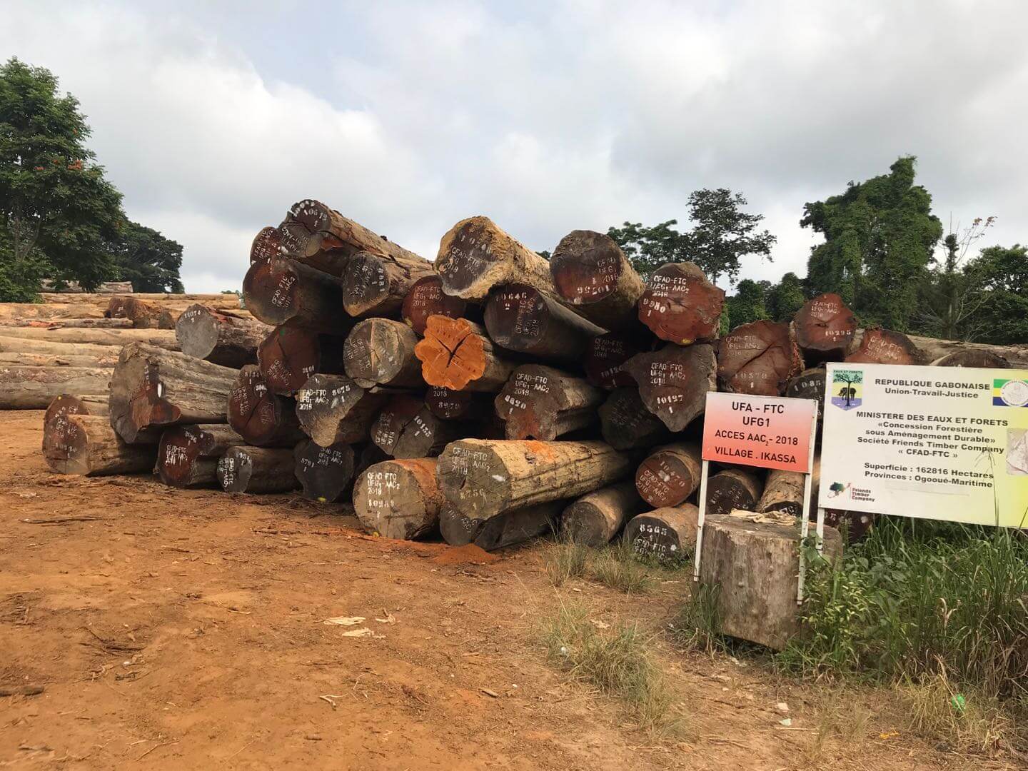 Retail Chain Expansion