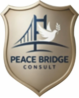 African Peacebuilding Institute Logo