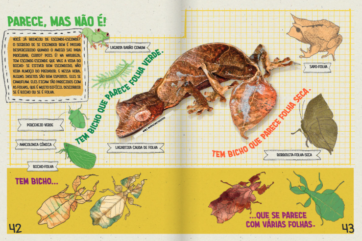 Diversidade de cores e texturas das folhas