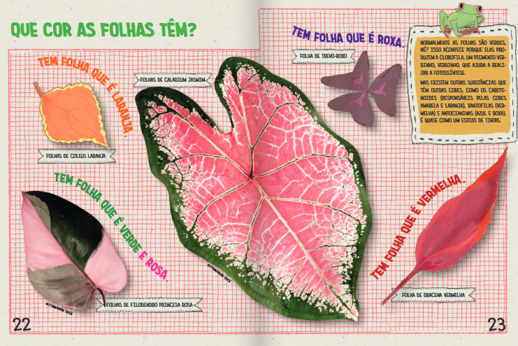 Bichos que se parecem com folhas