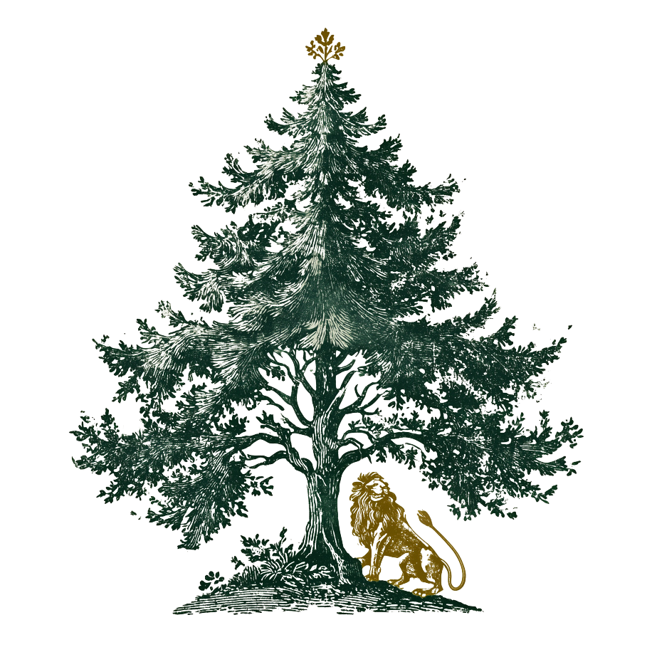 Everwyn Capital Logo