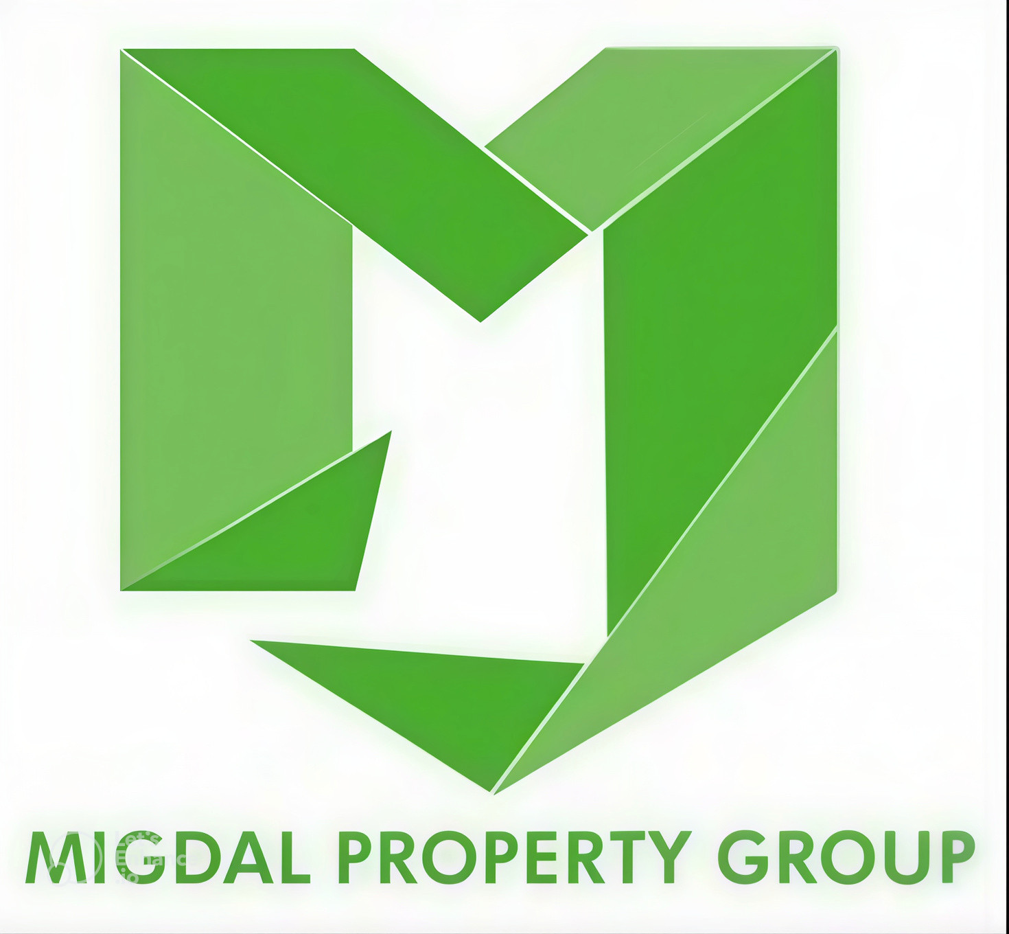 Migdal Property Group