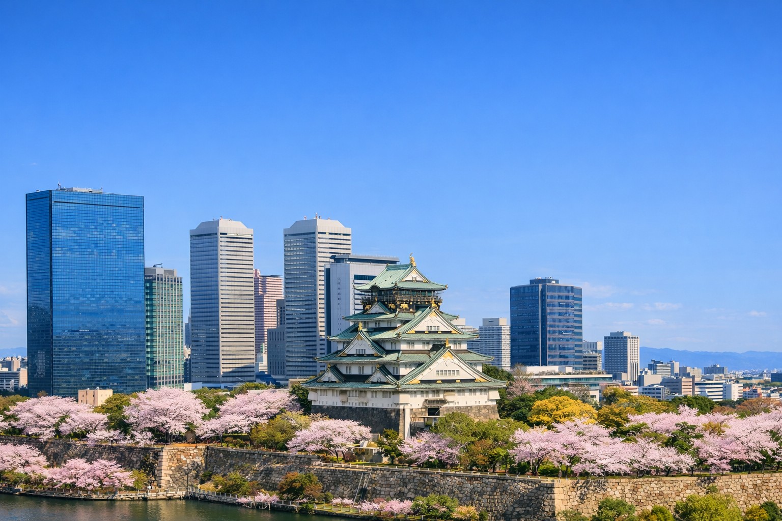都市の夜景