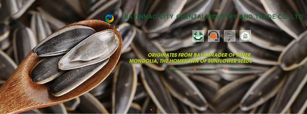 Bayinnaoer City Chentai Industry and Trade Co.,Ltd