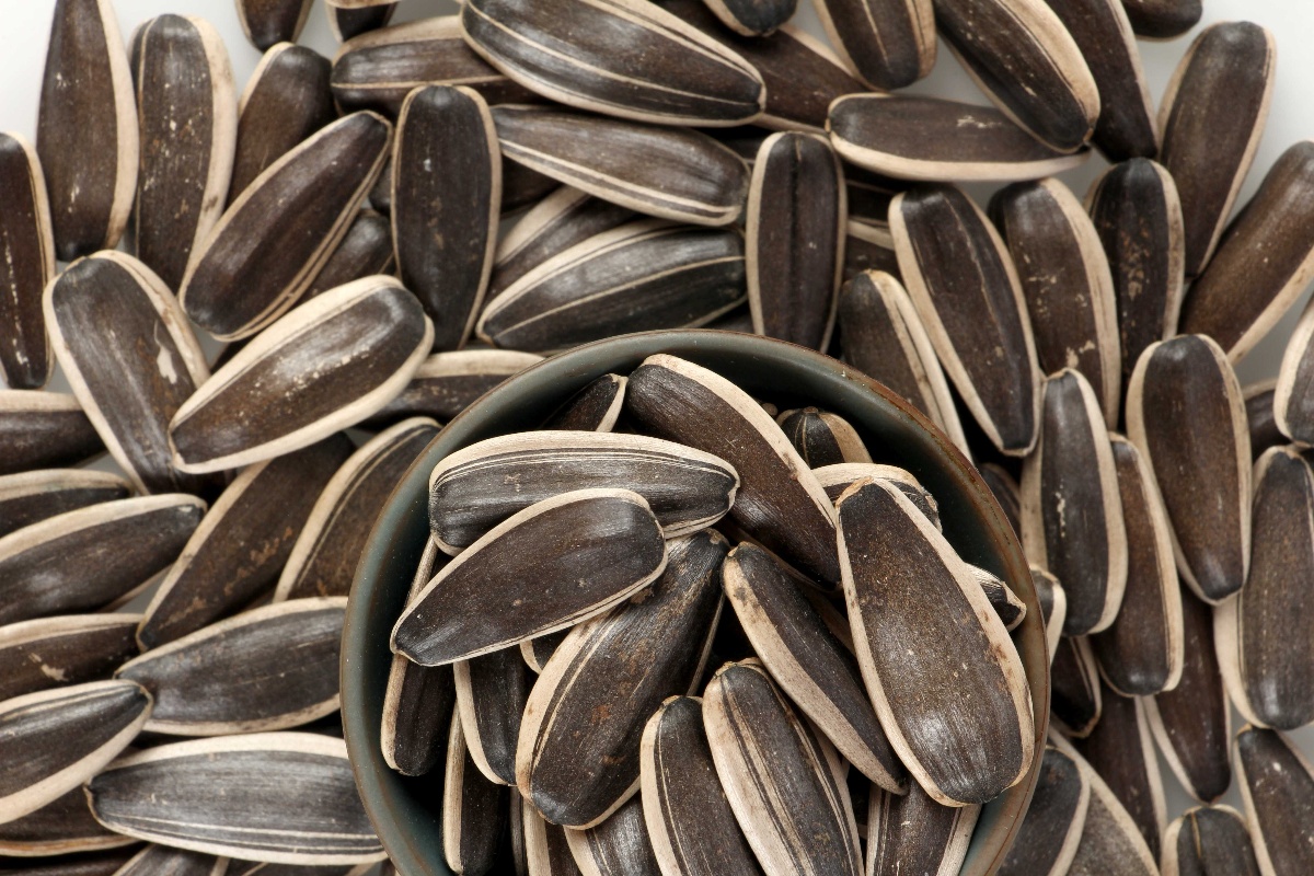 Sunflower Seeds