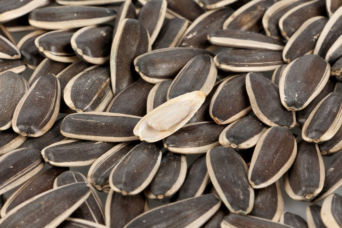 Sunflower Seeds