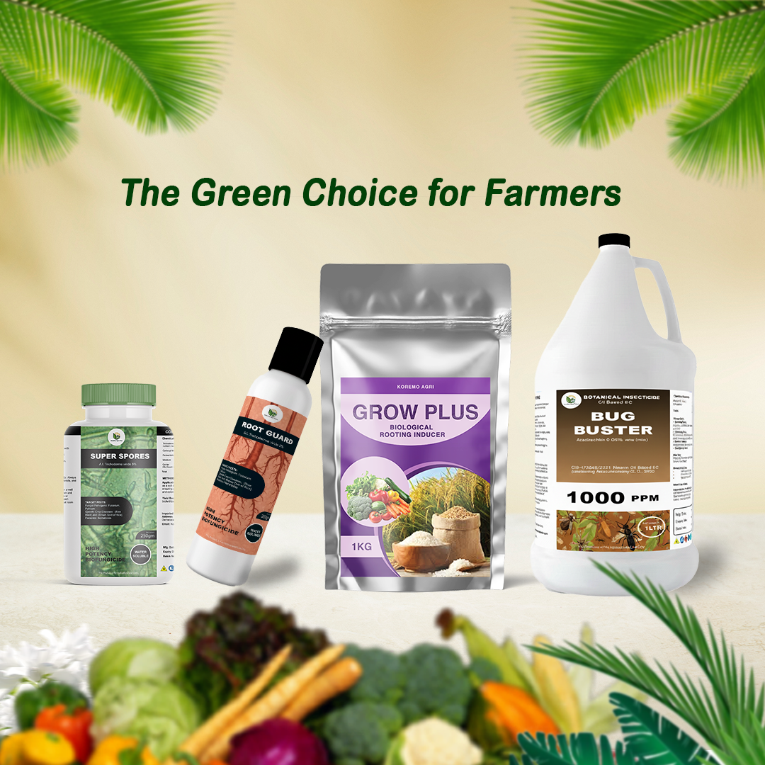 Featured design work