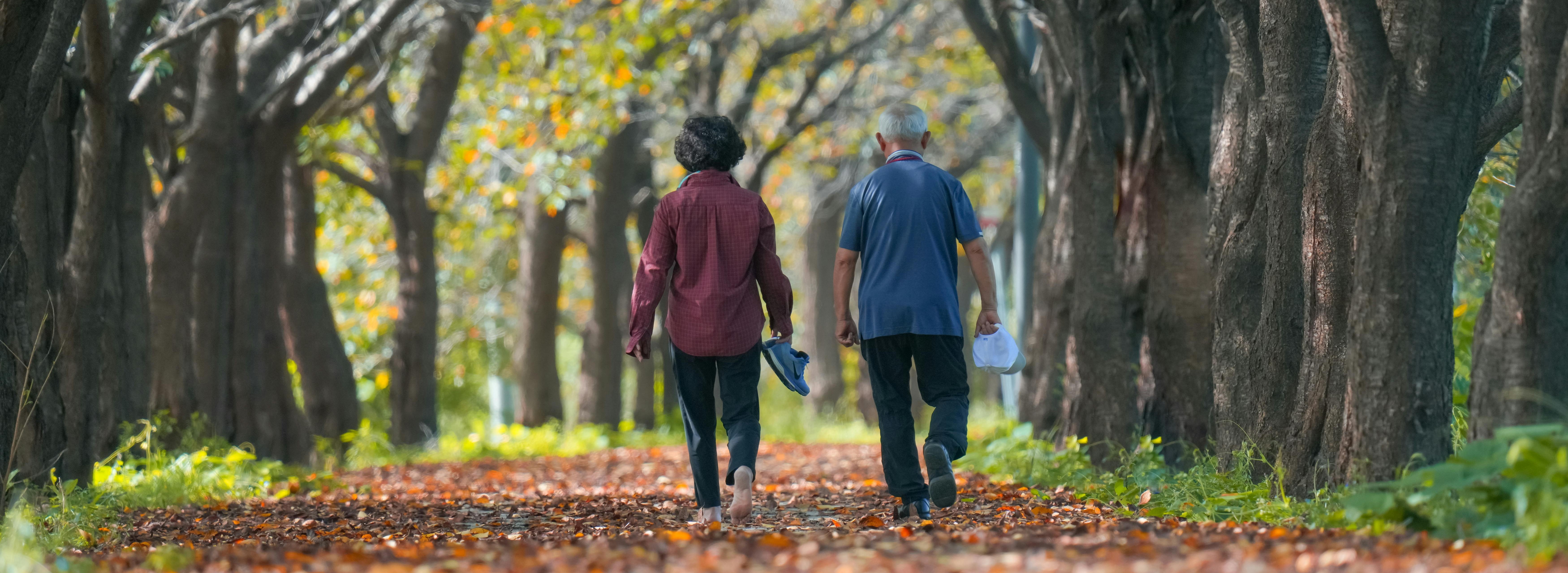 retirement planning and income strategy by Peterson Financial