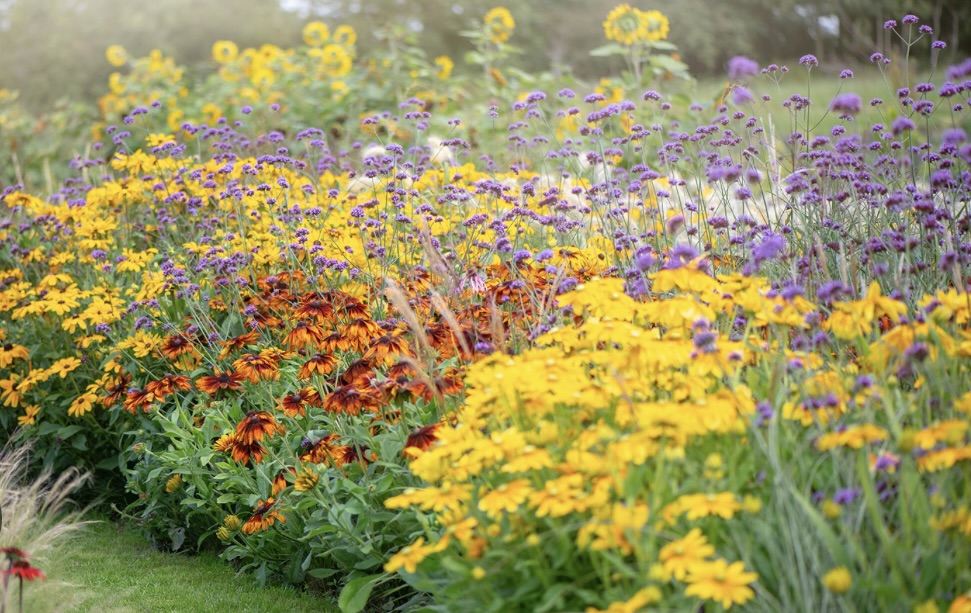 Fall Gardening