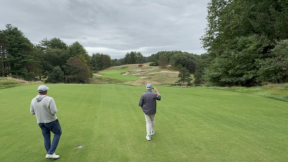 Paul says hi to an old friend at The International