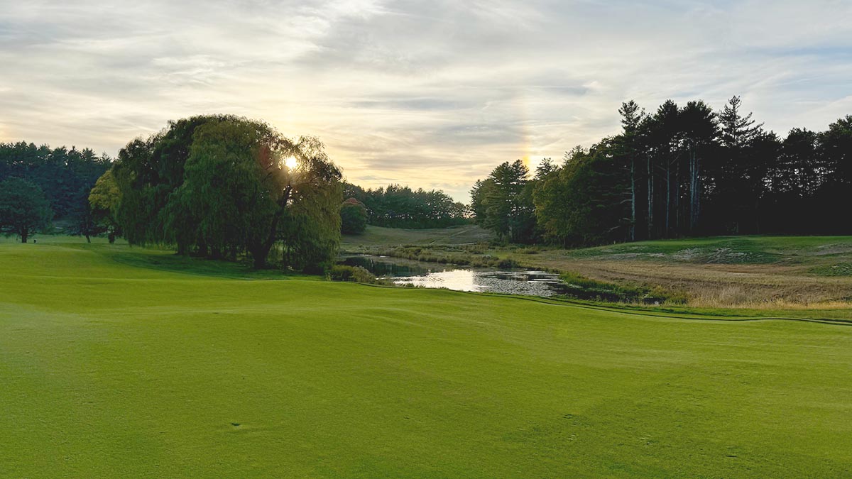 Sunset on the pines at The International
