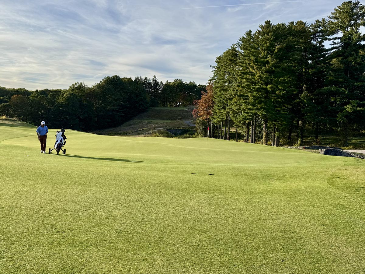 The Pines greens showing receptiveness and true roll
