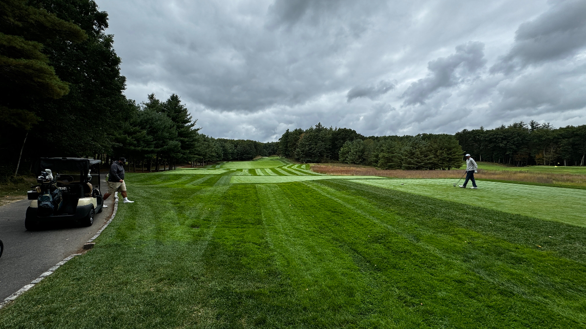 Teeing off on the Oaks in September 2024