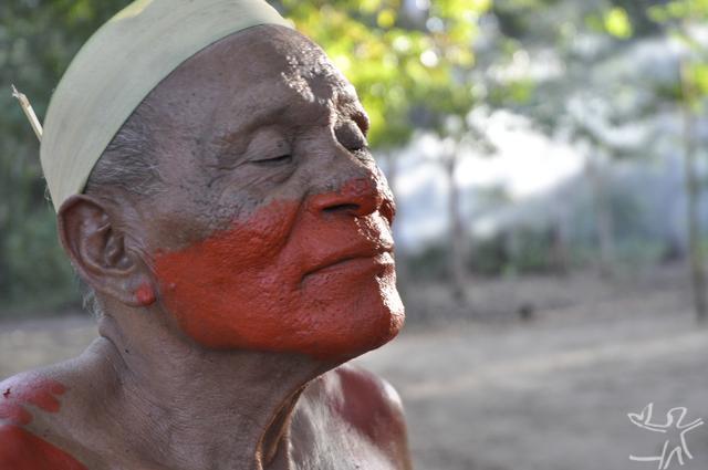 Floresta Amazônica - Terra Indígena Mãe Maria
