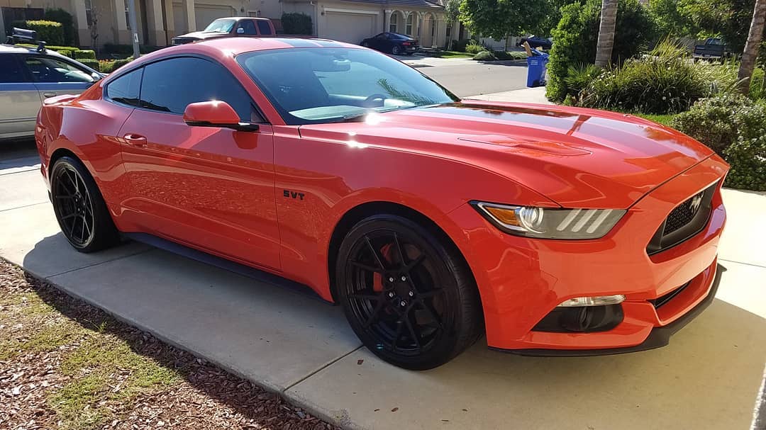 El Mirage Elite Mobile Detailing - Professional Mobile Detailing