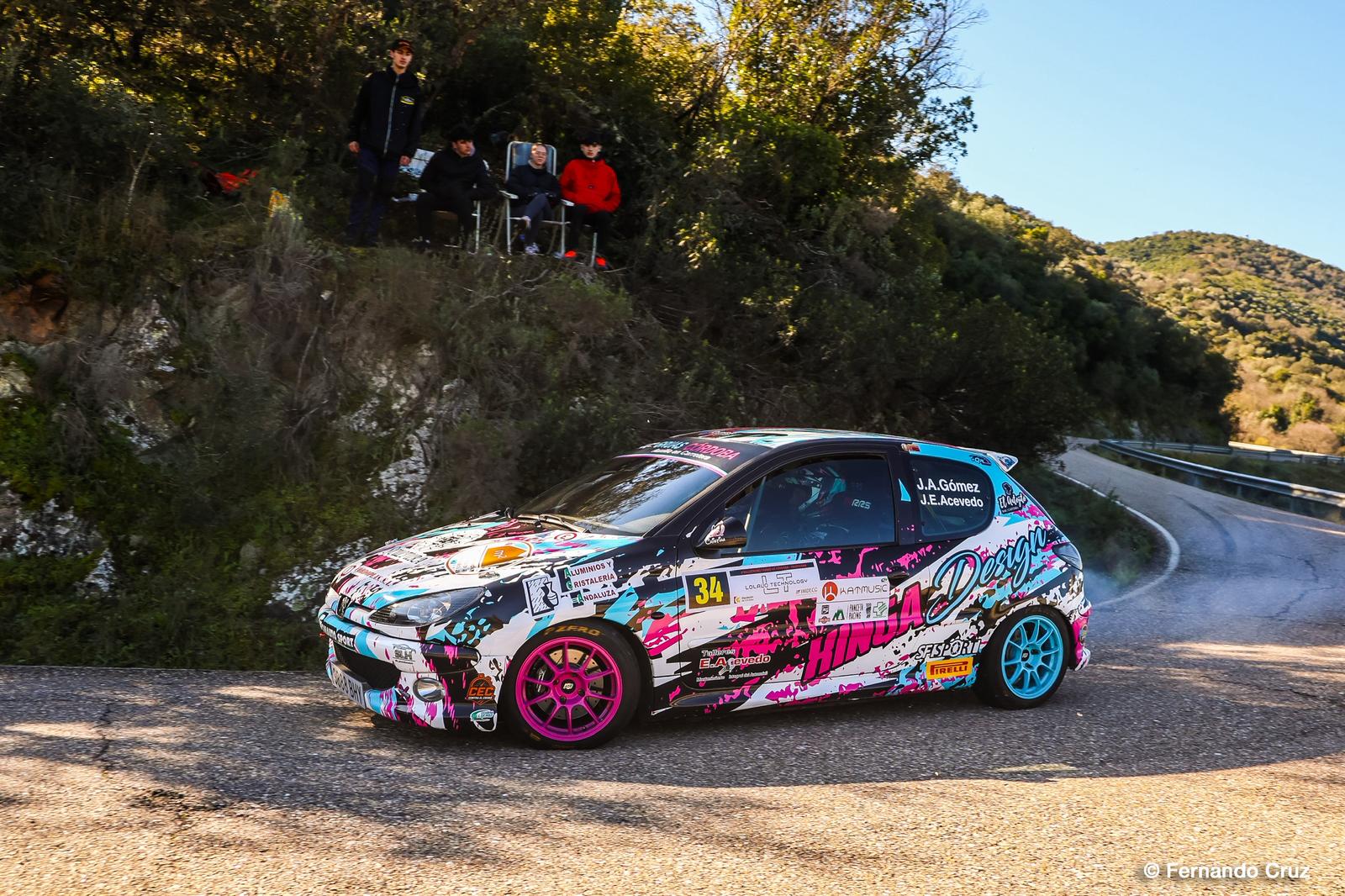 Peugeot 206 Rally Completo