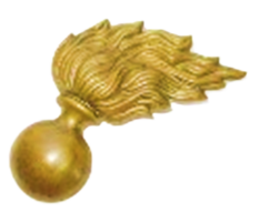 (Bundes-) Gendarmerie