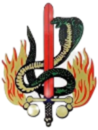 Gendarmerie-Einsatz-Kommando/EKO-COBRA