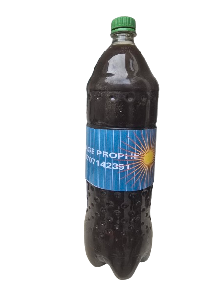 Insuffisance Rénale