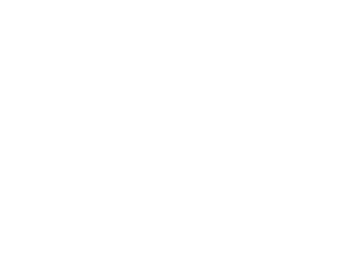 Developer logo