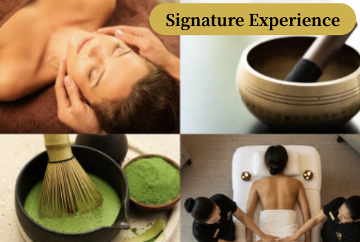 Immersive Zen Journey