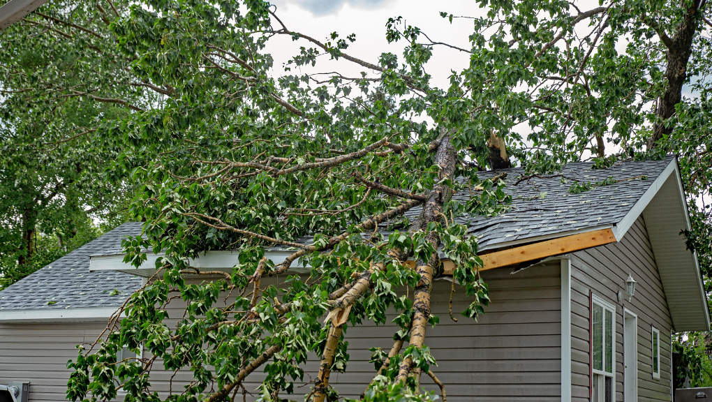 Storm Damage