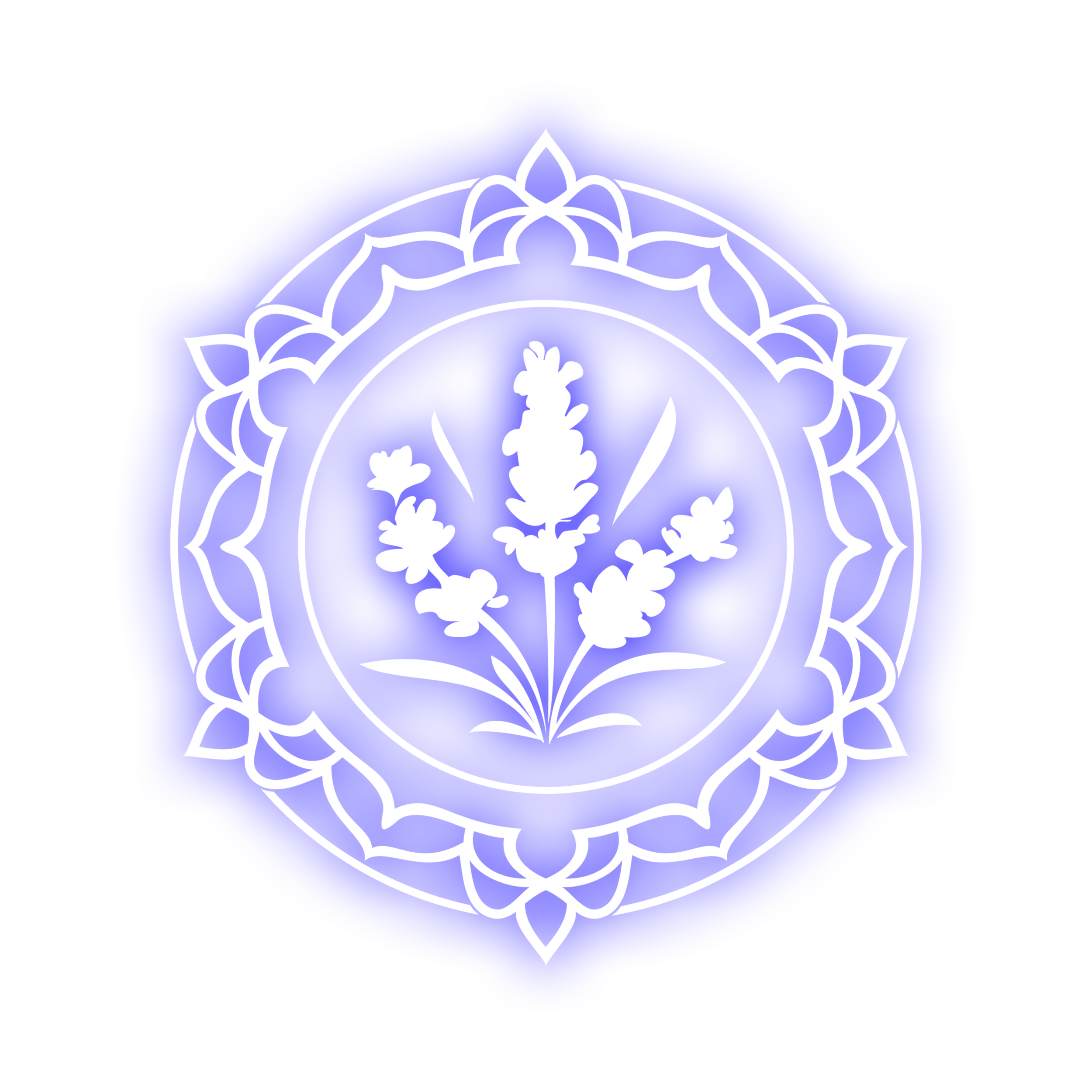 SkinS Team Building Workshop