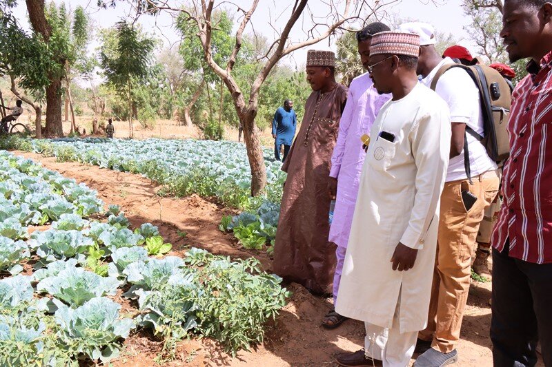 Agriculture et développement rural – Sécurité alimentaire