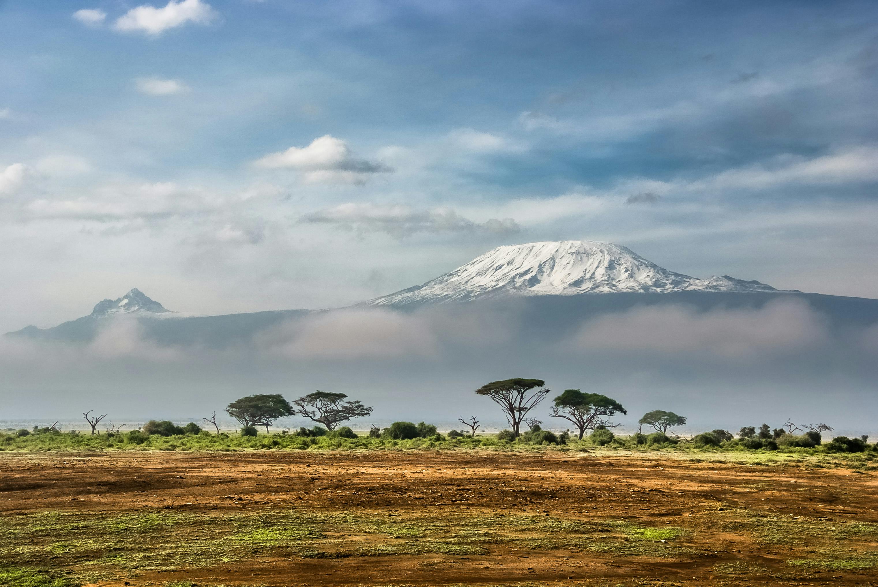 Best Time to Visit Tanzania for Safari