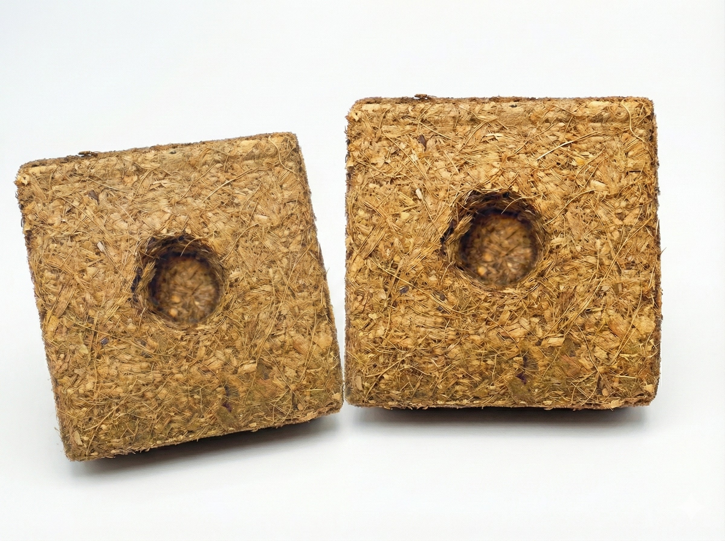 유기농 그로우 큐브