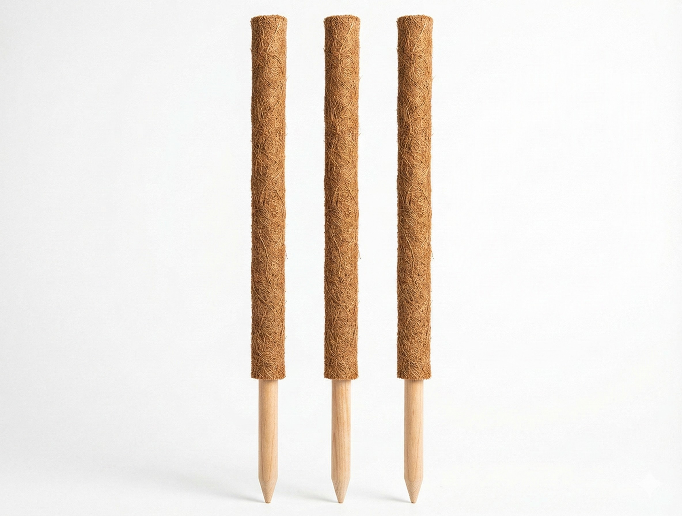 코코 그로우 폴