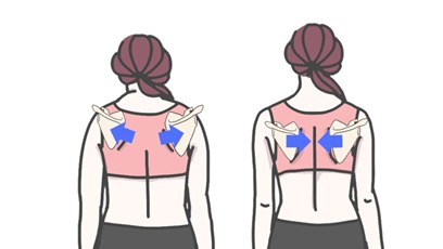 ストレートネックと骨盤・胸椎の姿勢連鎖を示す図解|ストレッチルーネで姿勢改善