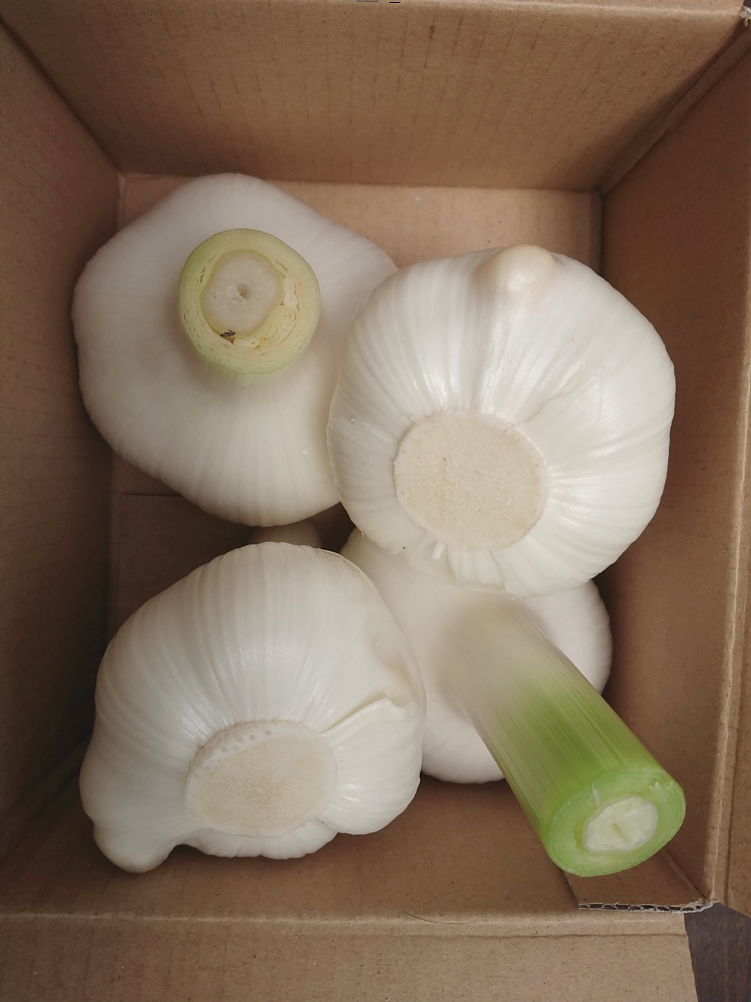 有機白にんにく