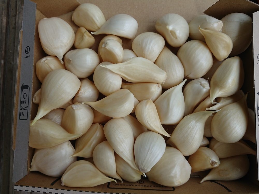 マルゲンライフ農園ブランドの本格展開