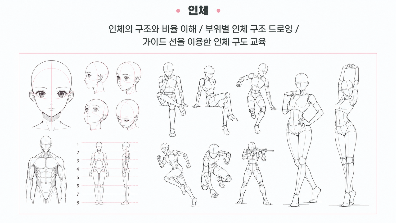 기초인체 1